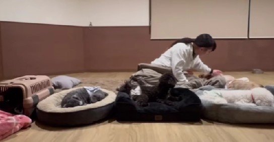 幼稚園のお泊り会みたい…!