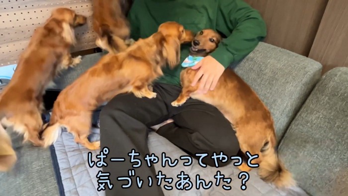 「あれ?父ちゃんだ!」