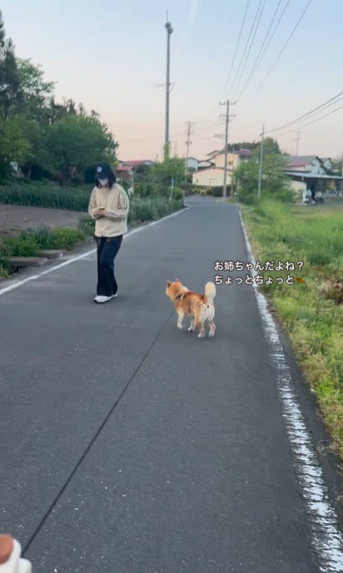 さぶろう君とお姉ちゃんの再会5