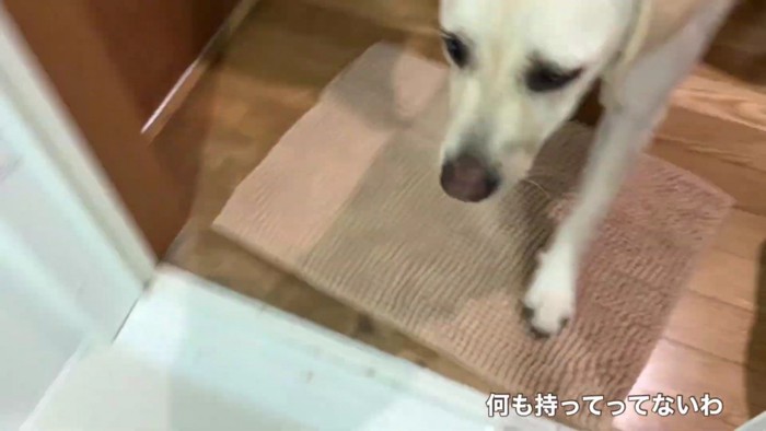 「大丈夫そ？」