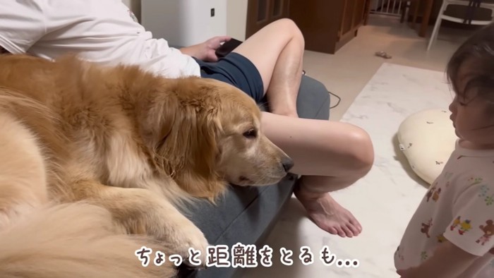思わず後ずさり