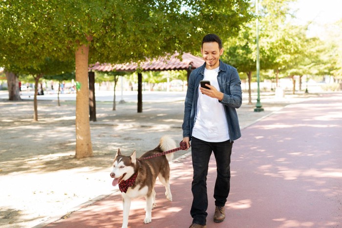 歩きスマホの飼い主と犬