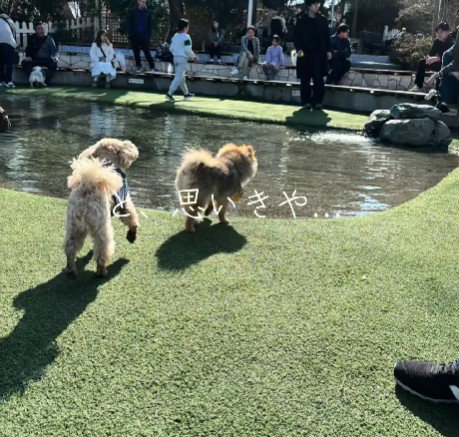 楽しくなり過ぎて…