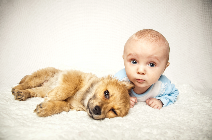 赤ちゃんと犬