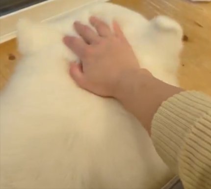 お耳が