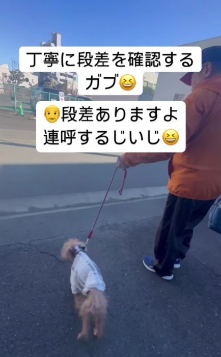 おじいちゃんとのお散歩