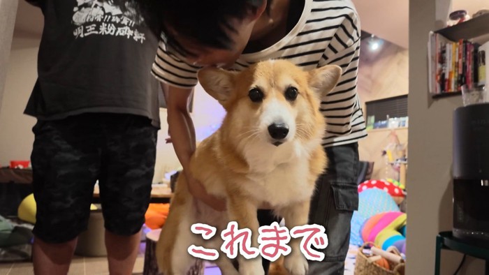 「もはやこれまで…」