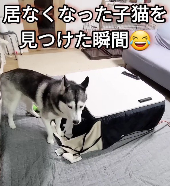 「もしかして家出…?」