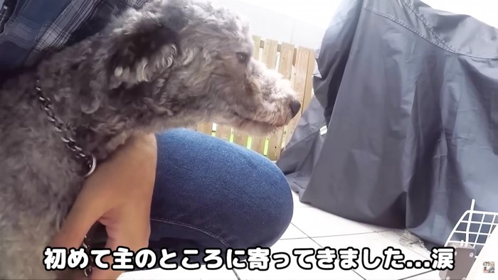 迎え入れることを決意