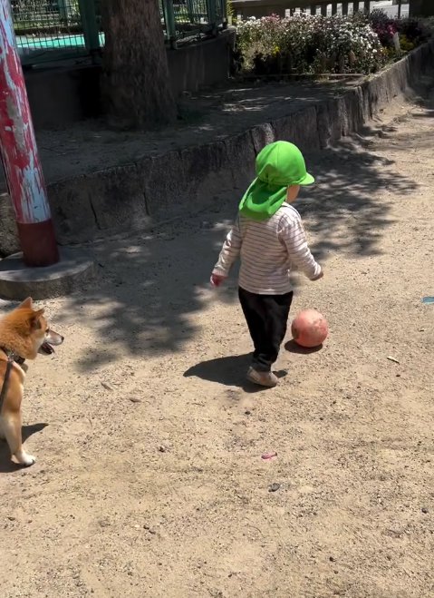 ボールを持って行ってしまう幼児