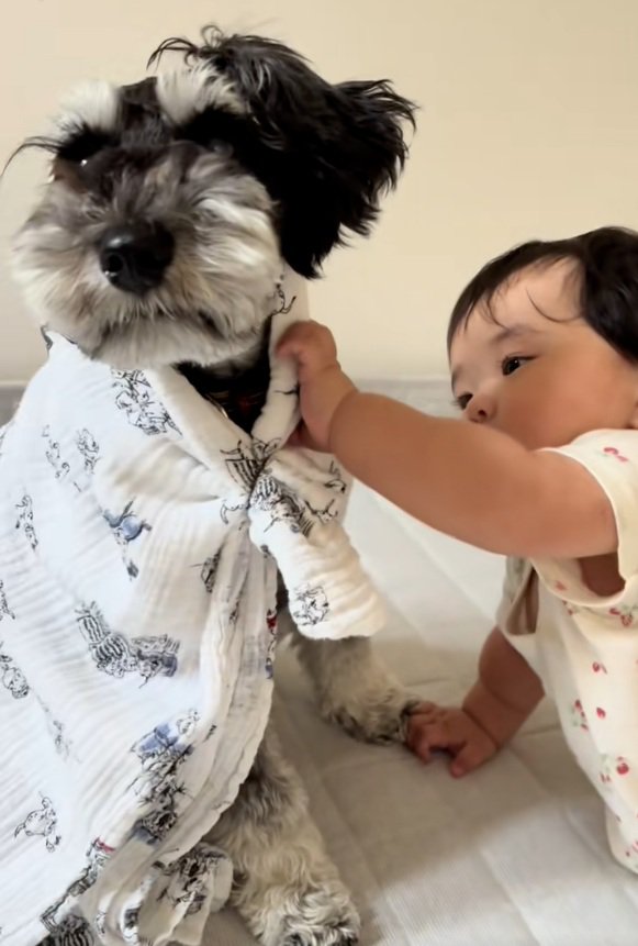 ゆずくんに触りたい赤ちゃん