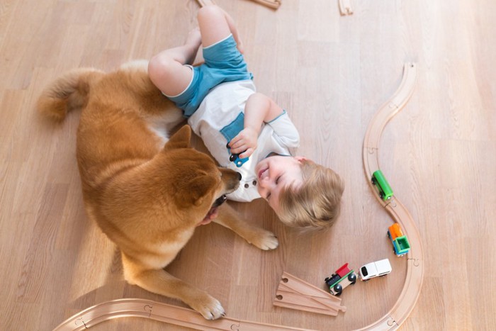 車のおもちゃで遊ぶ子どもと犬