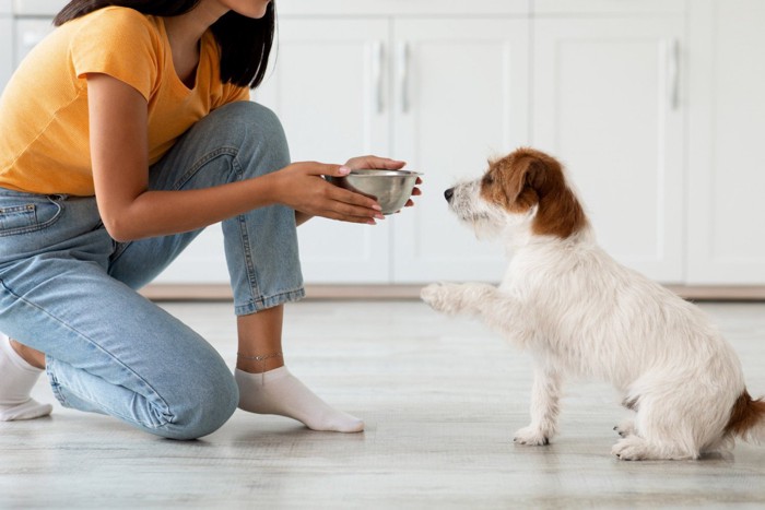 女性から食器で食べ物をもらおうとしている犬