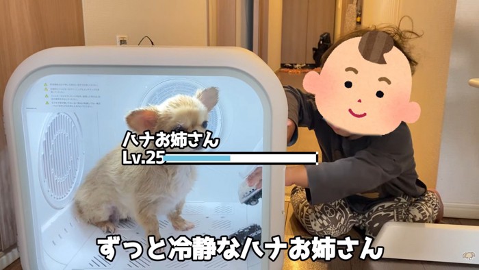 もう1個おもちゃを入れてくれました