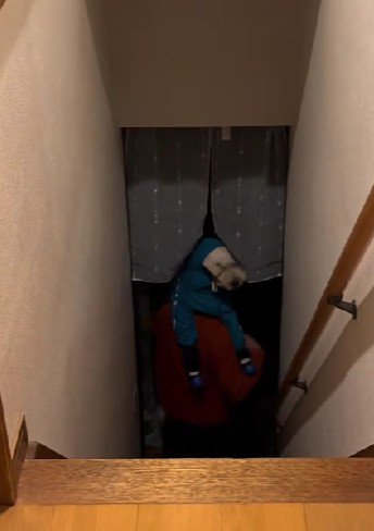 「いってきまーす!!」