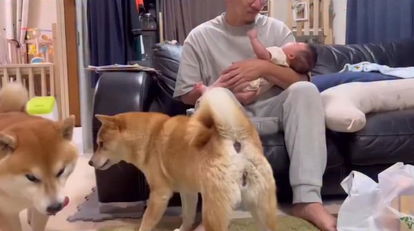 パパに抱っこされるひよりちゃん