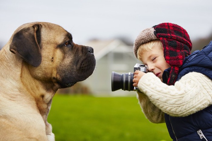 犬と写真を撮る男の子