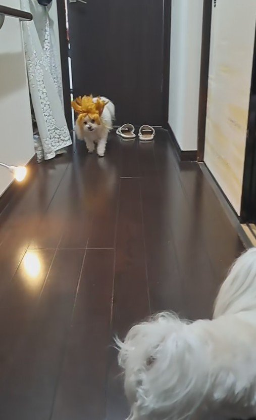 ん…？