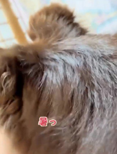 暑くても一緒がいいね♡