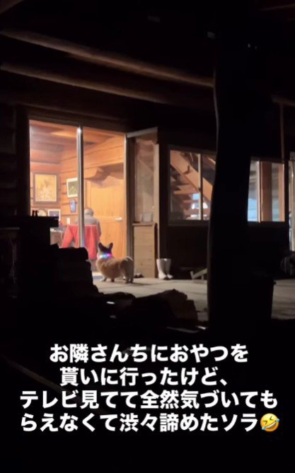 お隣のおじいちゃんの家に…