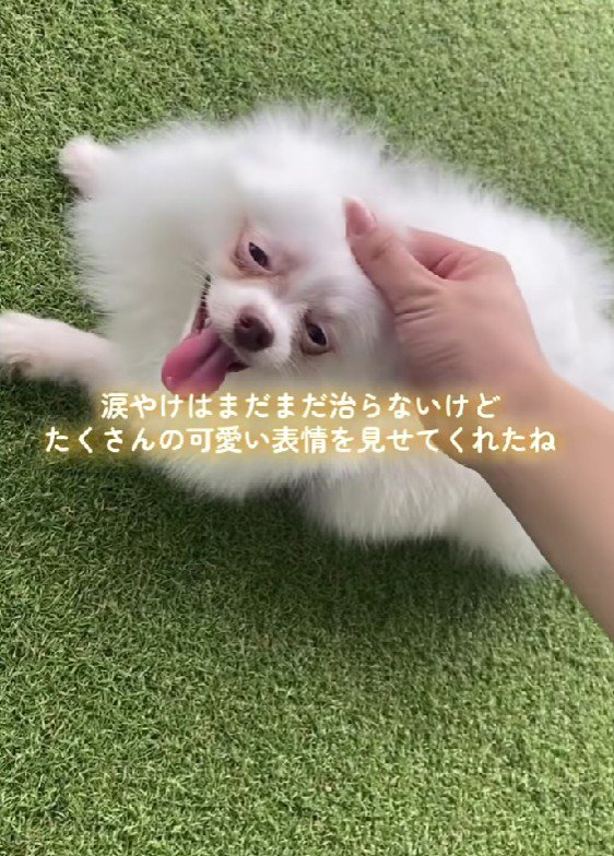 幸せな表情に変わった