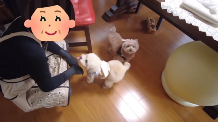 虎太郎くんと三桜ちゃん