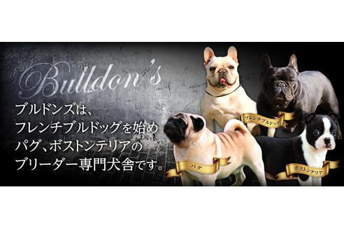 BULLDON'Sのイメージ画像