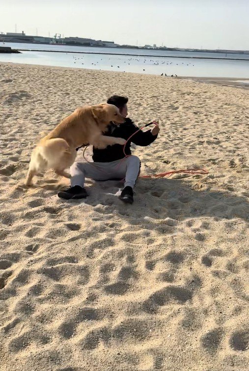 海辺でのハプニング7