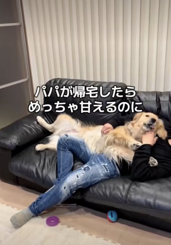 パパおかえりぃぃ