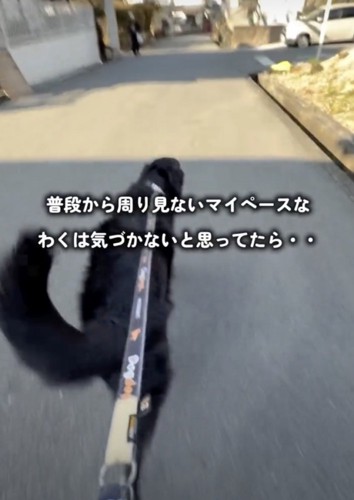 パパ、近くにいるよ！！