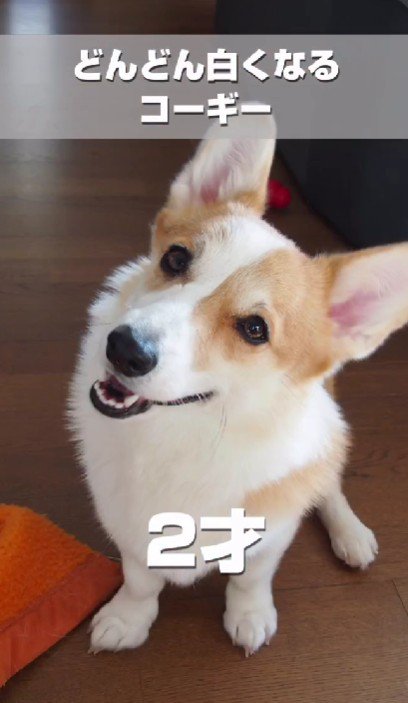 スクスク成長！
