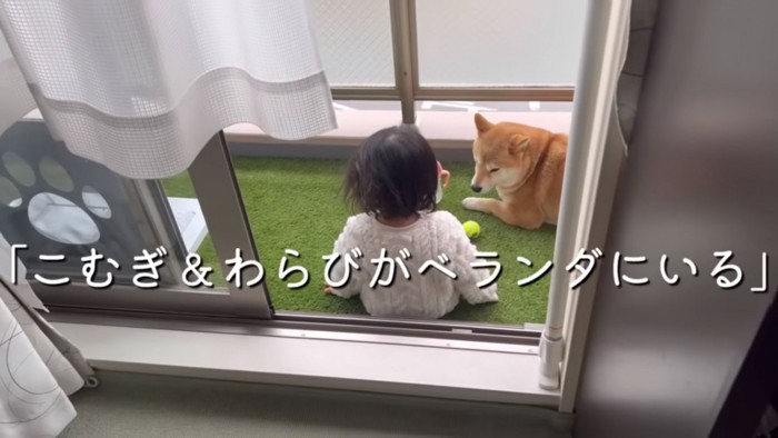 家の中に入らないひよりちゃん