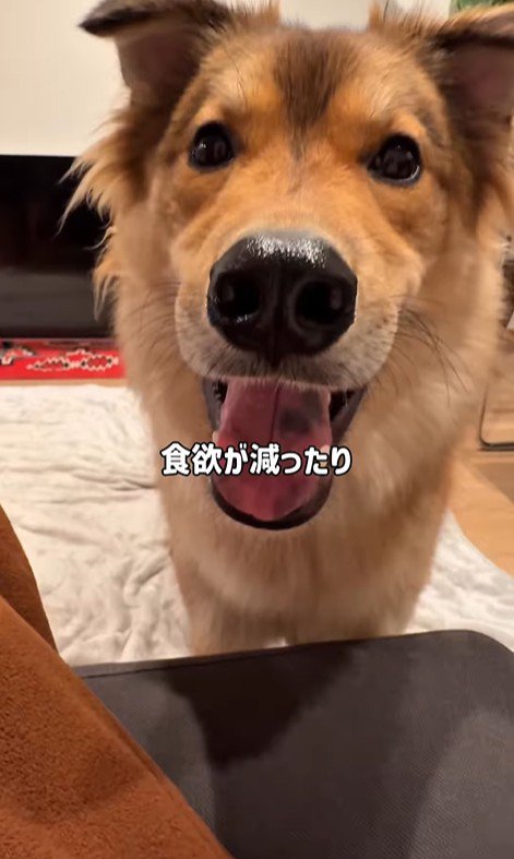 ママさん旅行中のラッキーくん6