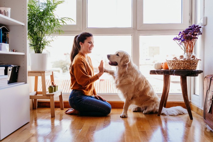 犬とタッチする女性