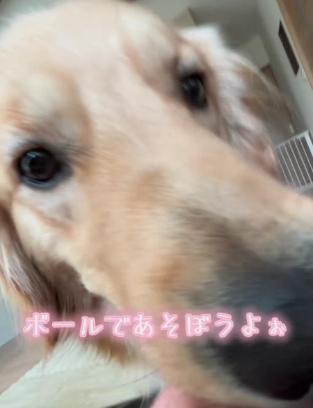 「ママ！遊ぼう！」