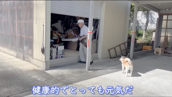 倉庫に物をしまう男性と、近くで男性を見守る犬