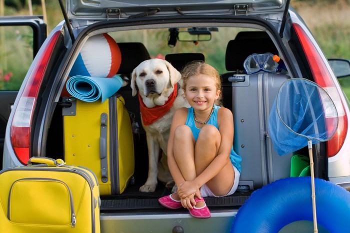 車に乗る犬と女の子