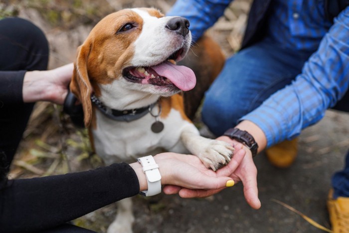 2人の人に手を持たれて幸せそうな犬