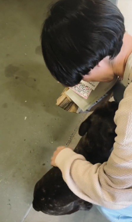 甘えん坊なぶん太ちゃんでした♡