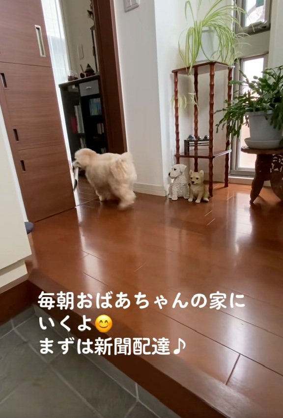 新聞を届けるワンコ