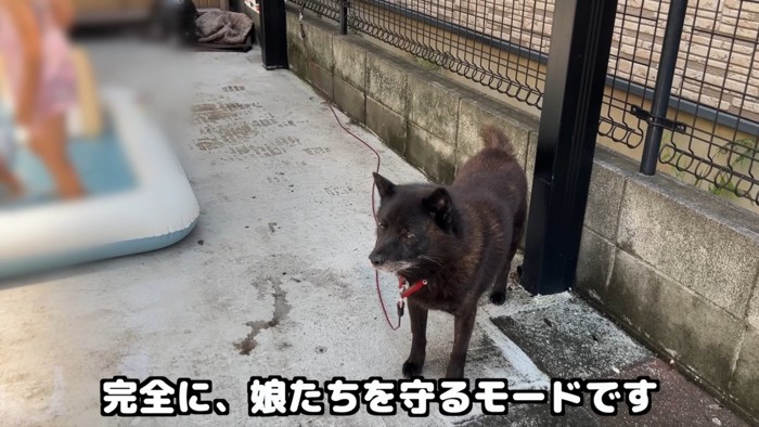 「僕が2人を守らなくちゃ!」