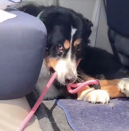 「悪い奴」の顔