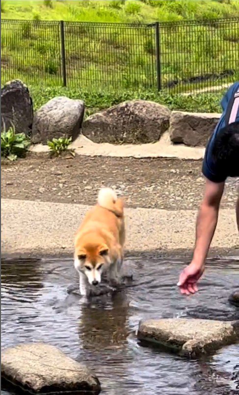 水に入ってしまったまりちゃん3