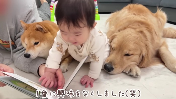 すぐに寝ちゃった！