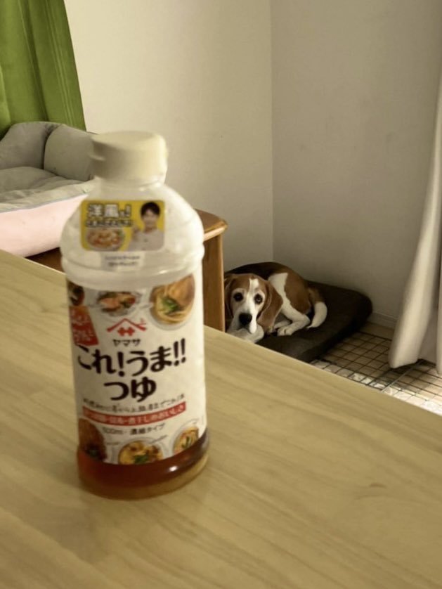 これ！うま！