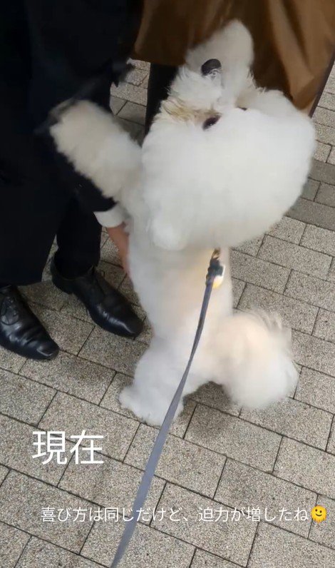 1年後のふう太くん