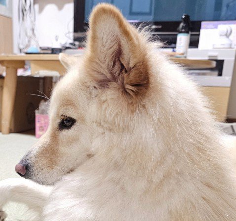 つるちゃんの伏せ3