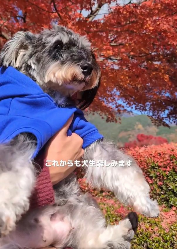 抱っこされるルアナちゃん
