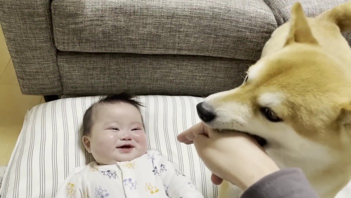 みいちゃんも大喜び♪