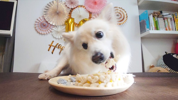 可愛すぎる